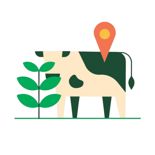 Cow Wellness Zones