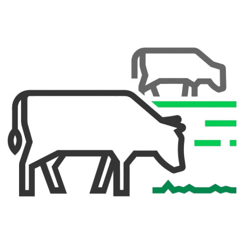 Natural Grazing Pastures